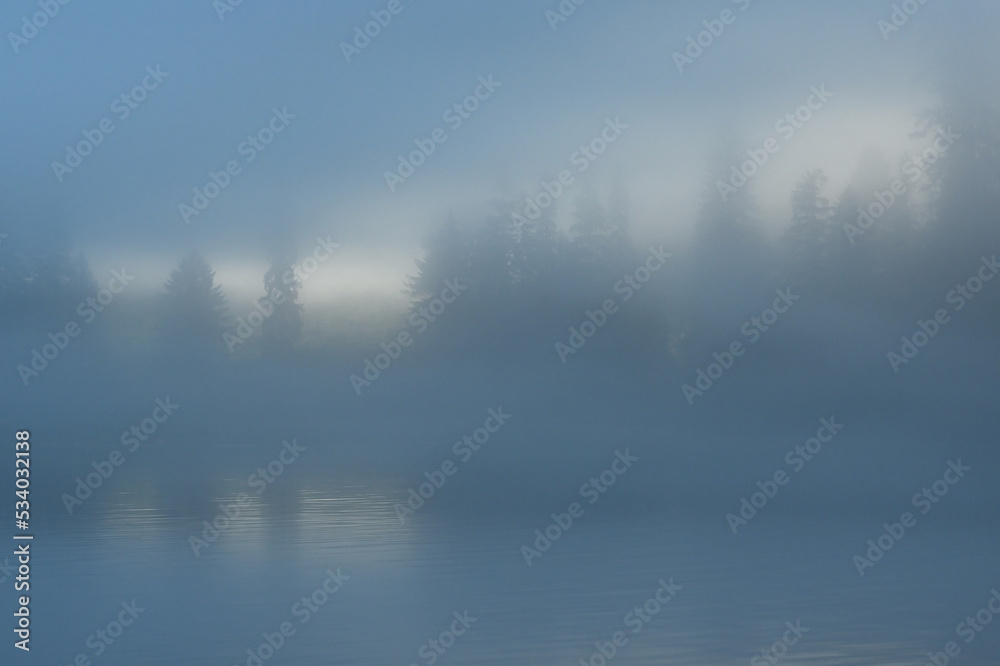Fototapeta premium Forest shoreline in fog.