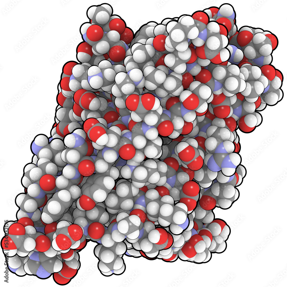 Bet V1 birch pollen allergen molecule. Bet V1 birch pollen allergen molecule.