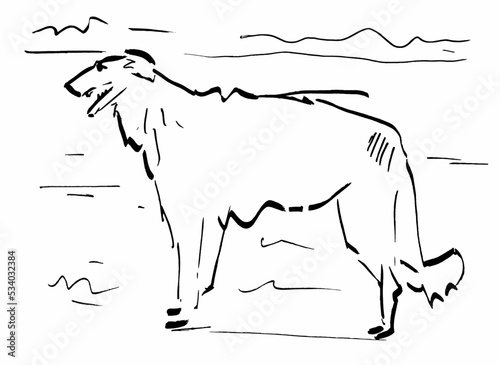 Dog standing in yard.Ink illustration. Vector EPS 10