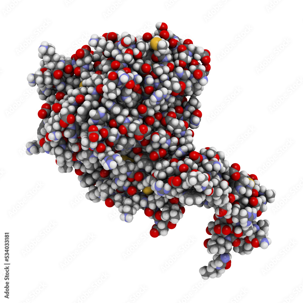 Human activated protein C (APC, drotrecogin alfa, without Gla-domain). Has anti-thrombotic and anti-inflammatory properties. Human activated protein C (APC, drotrecogin alfa, without Gla-domain). Has anti-thrombotic and anti-inflammatory properties.