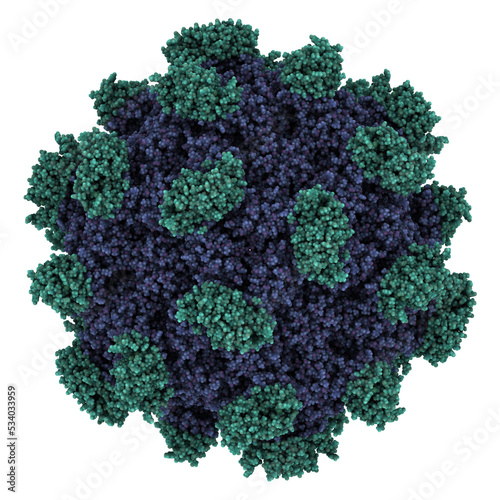 Hepatitis E virus capsid structure. HEV infection causes viral hepatitis. Atomic-level structure. photo