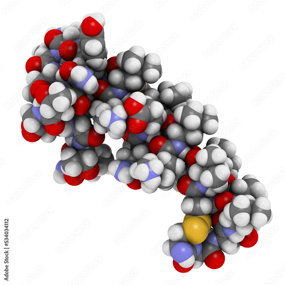 Salmon calcitonin peptide hormone drug, chemical structure. Salmon calcitonin peptide hormone drug, chemical structure.