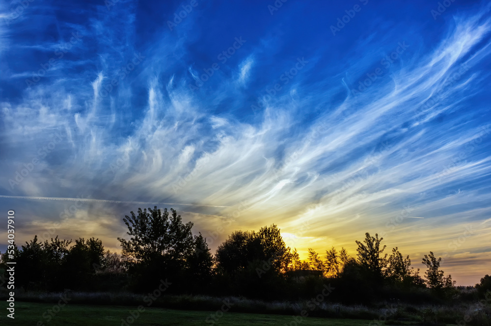 Evening sunset with cirrus clouds above the trees Evening sunset with cirrus clouds above the trees