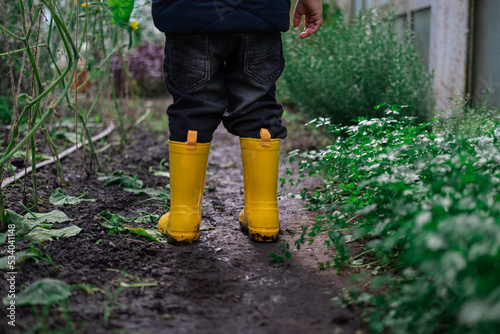 Small little boy wearing yellow rubber boots rainboots in greenhouse, exploring plants, kid walking in glasshouse, rear view. Gardening for children photo