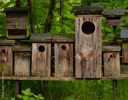 Foto Birdhouses