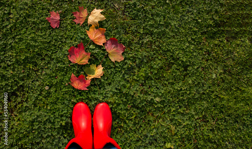 woman in red boots on a lawn of clover and maple leaves, autumn concept