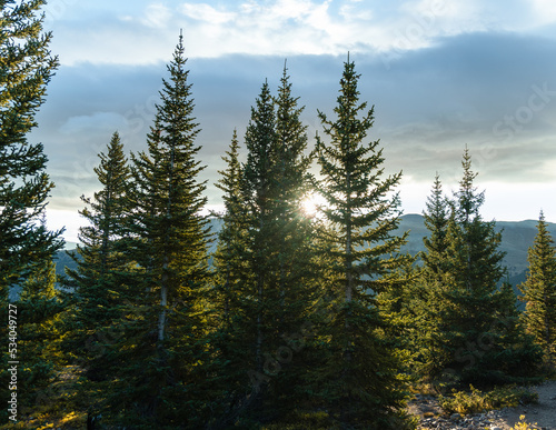 The sunrise shining through some trees at Quandary Peak, Colorado