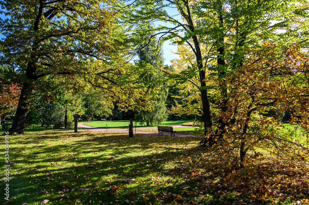 botanical park in early autumn. Sunny Autumn Day