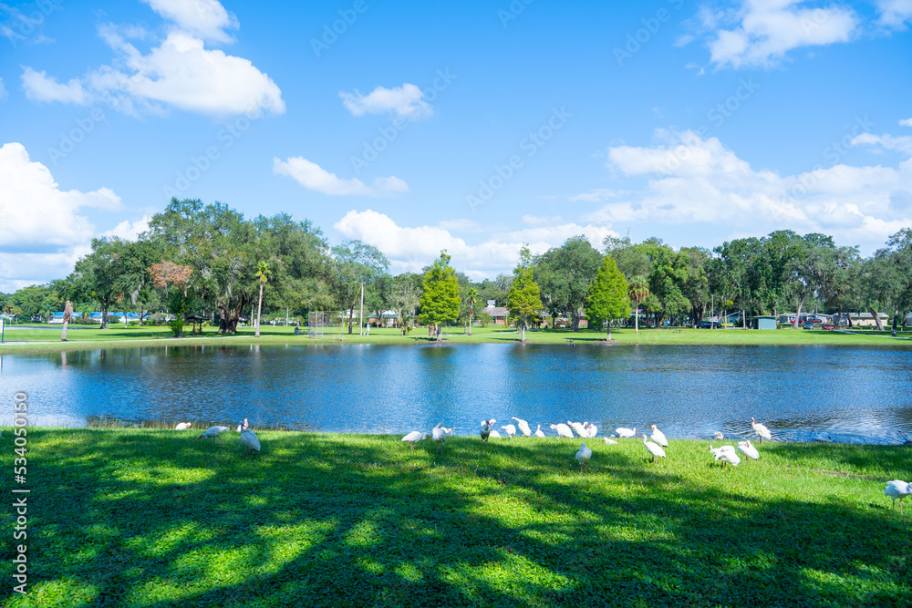 Lake zephyr in Zephyrhills town of Florida. Zephyrhills is a city in Pasco County, Florida, United States.