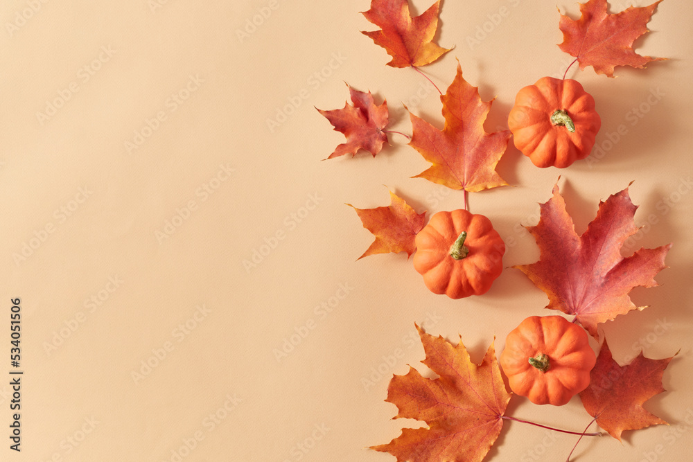 Flat lay frame with colorful autumn leaves and pumpkins on an orange background Flat lay frame with colorful autumn leaves and pumpkins on an orange background