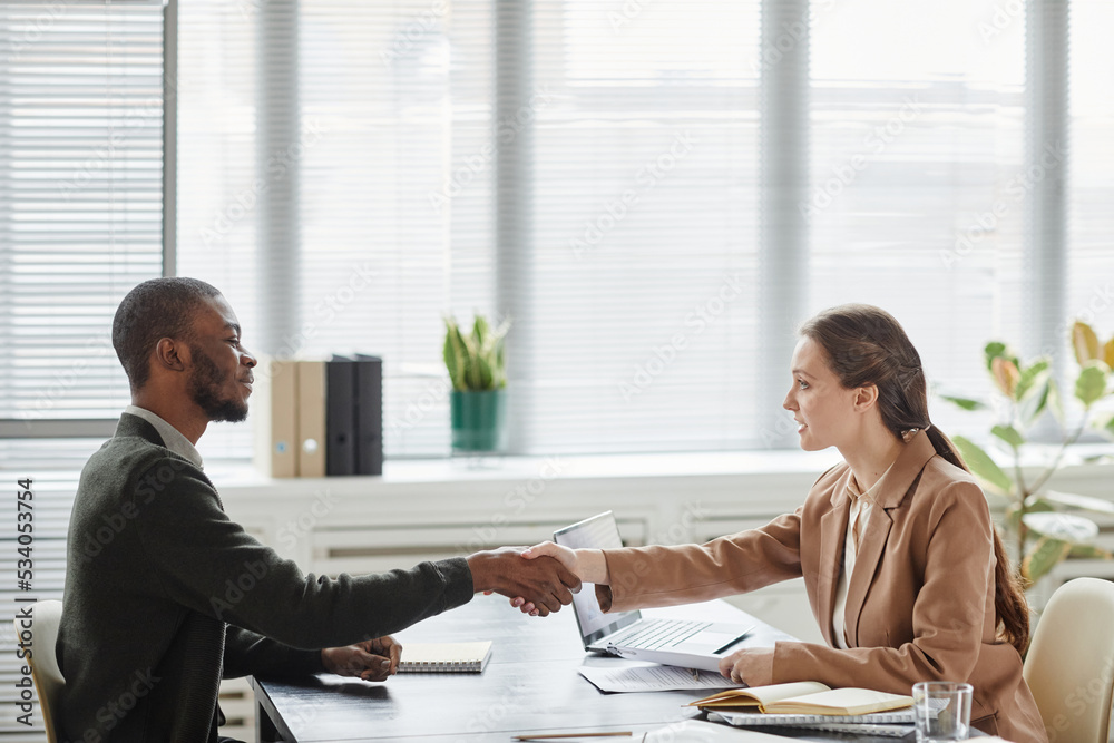 Φωτογραφία Side view portrait of young businesswoman shaking hands with candidate in job in