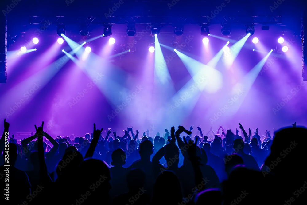 crowd of people dancing at concert - obrazy, fototapety, plakaty 