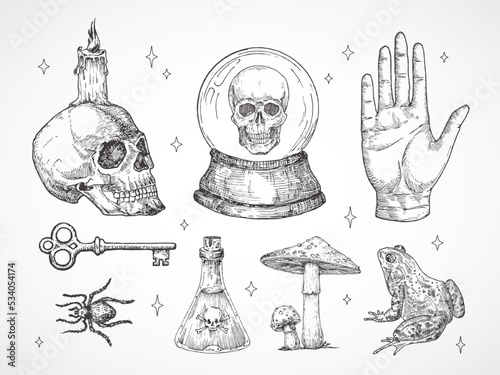 Mystical Magic Engraving Illustrations Set. Hand Drawn tattoo style sketches of crystall ball, frog, scull, key and spider Palmistry and alchemy Halloween symbols collection