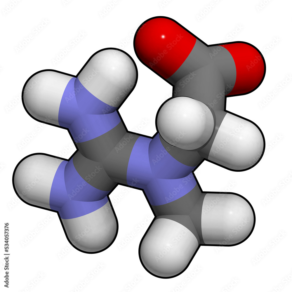 Fotografie Creatine molecule. Often used in food supplements.