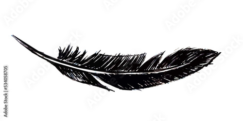 The Feather of bird drawn in black ink pen.
