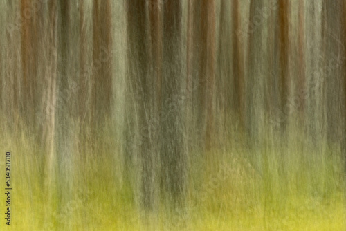Abstrac blurry forest with  green and brown  through intentional cammera movement photo