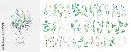 Set of luxury green leaves and flowers elements in watercolor style. Aquarelle trendy greenery branches and blooming. Vector isolated on white background for Invitation, greeting