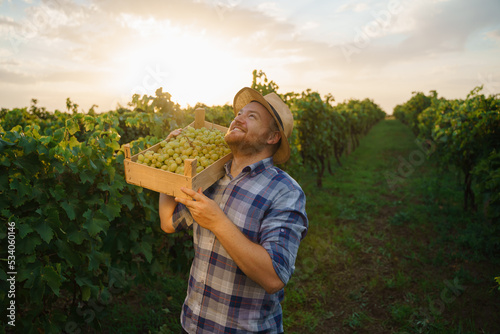 Photography Front view looking at sky in vineyard young worker man winegrower smile tiredly happy hold box with harvest on shoulder