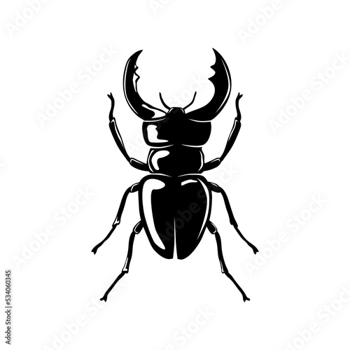 Black  Stag beetle. PNG illustration. 