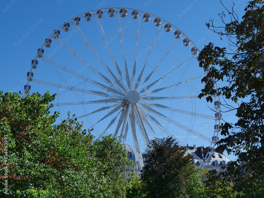 ferris wheel forest