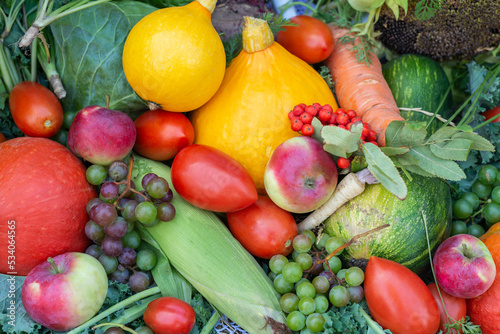 Fototapeta Naklejka Na Ścianę i Meble -  Raw fruit and vegetable varieties. Fresh fruits and vegetables. Organic food background