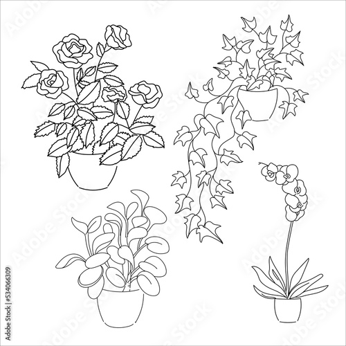 vector illustration linear sketch set house plants line and contour drawing