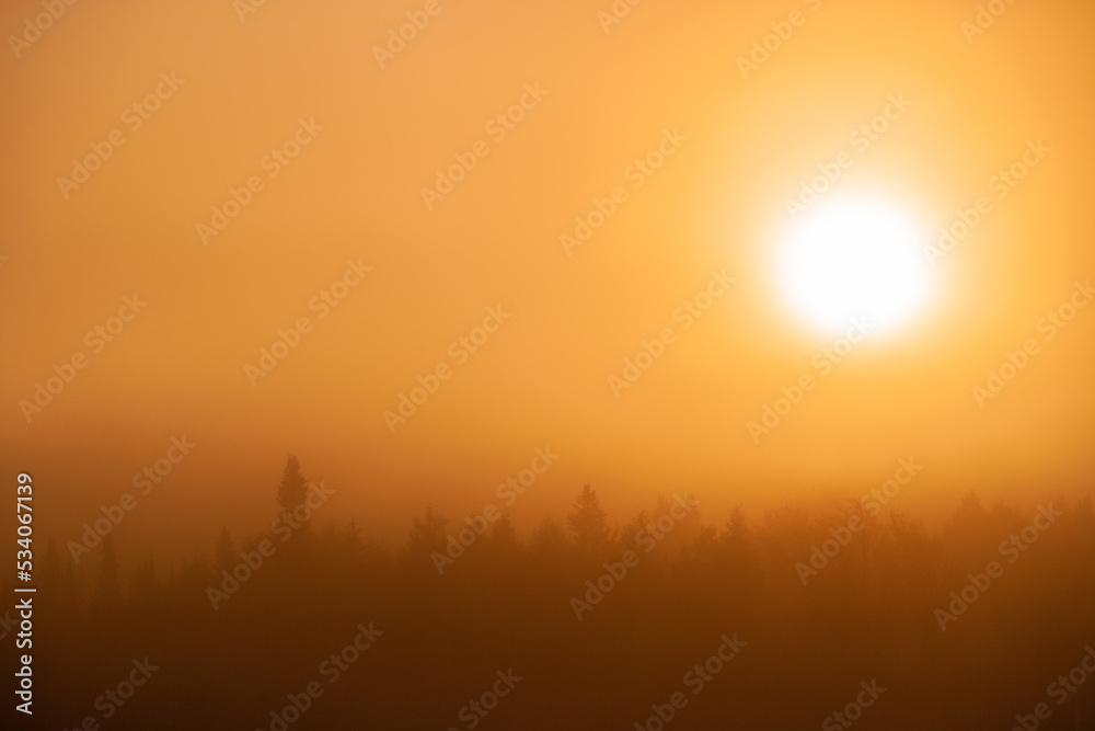 Sunrise over trees in early morning fog in the New England town of Stowe Vermont, USA Sunrise over trees in early morning fog in the New England town of Stowe Vermont, USA