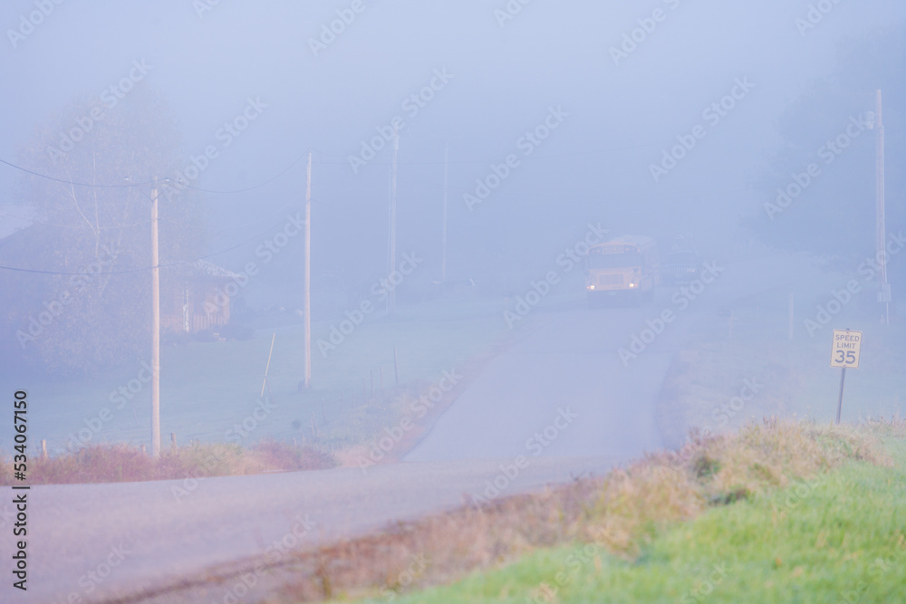 School bus in early morning fog