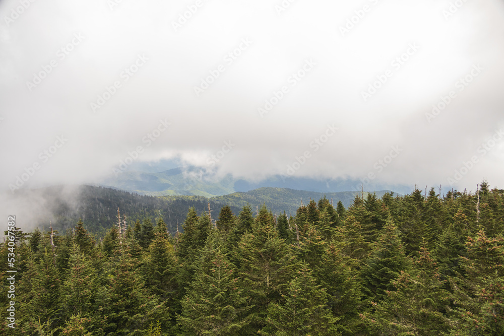 Fog and rain over the Great Smoky Mountains National Park