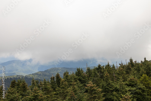 Fog and rain over the Great Smoky Mountains National Park