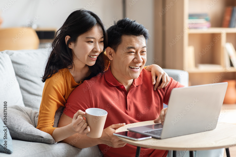 Loving asian spouses websurfing together, using computer Loving asian spouses websurfing together, using computer