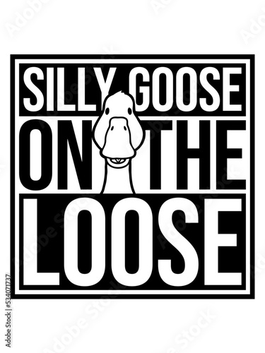 goose on the loose 