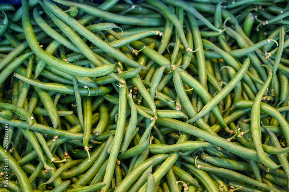 Green bean for sale in market. Fresh green beans. Green bean for sale in market. Fresh green beans.