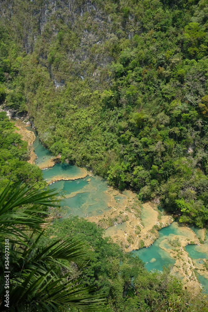 Dschungel von Guatemala