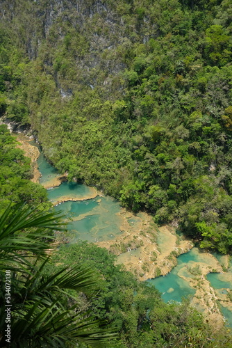 Dschungel von Guatemala