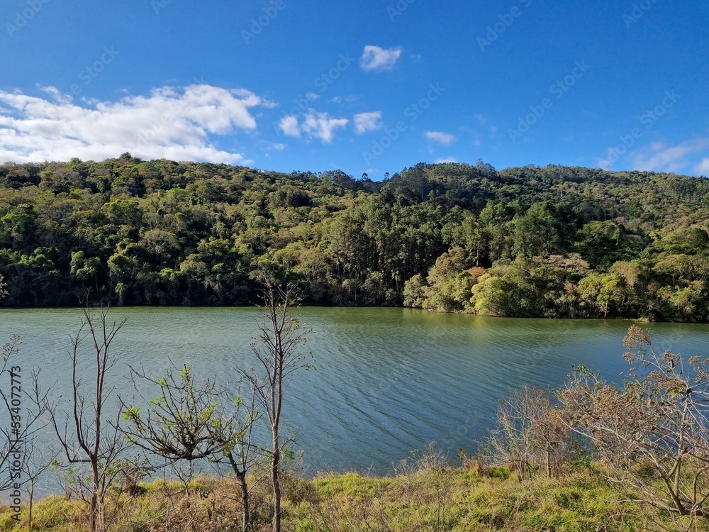 lake and forest