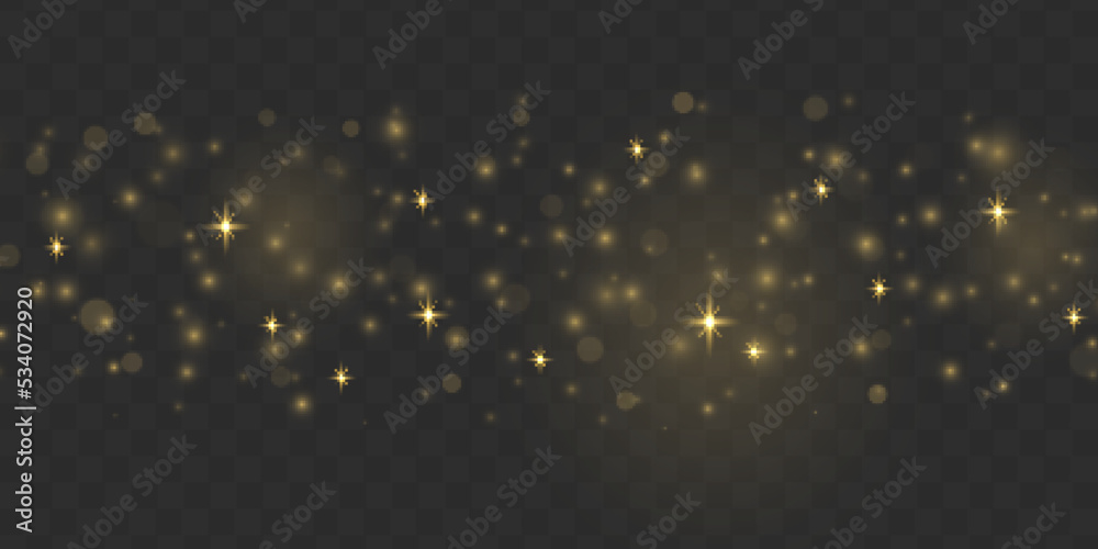 Fine, shiny dust bokeh particles fall off slightly. Blur sparks and golden stars sparkle shine with special light. Blurred lights isolated on transparent background. Christmas concept. Vector