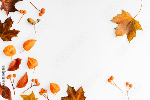 Isolated leaves  Collection of multicolored fallen autumn leaves isolated on white background  Autumn orange leaf falling down Isolated on white background  top view with copy space  Autumn background