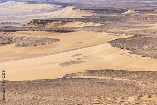 Sandy desert at Wadi el-Hitan paleontological site.