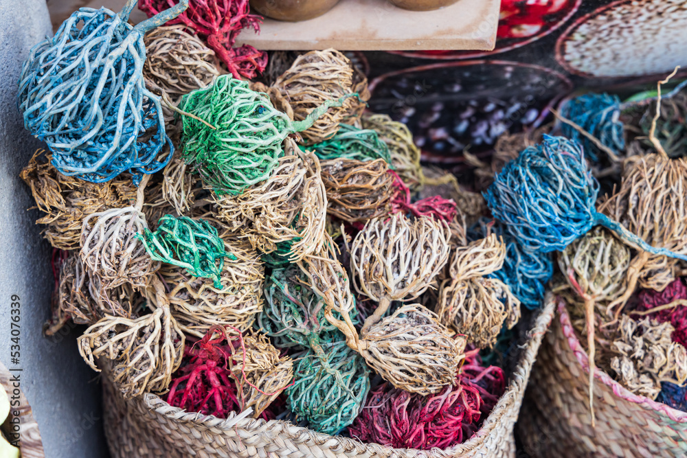 Dried colored Maryam Booti Anastatica flowers, at a market in Luxor.