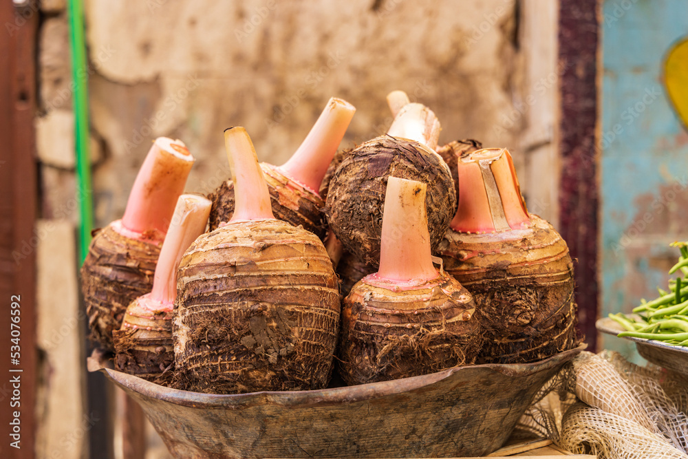 Taro root (Colocasia esculenta) for sale at a market in Luxor. Taro root (Colocasia esculenta) for sale at a market in Luxor.