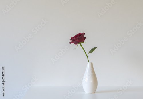 Single red rose in small vase against white background - romance concept
