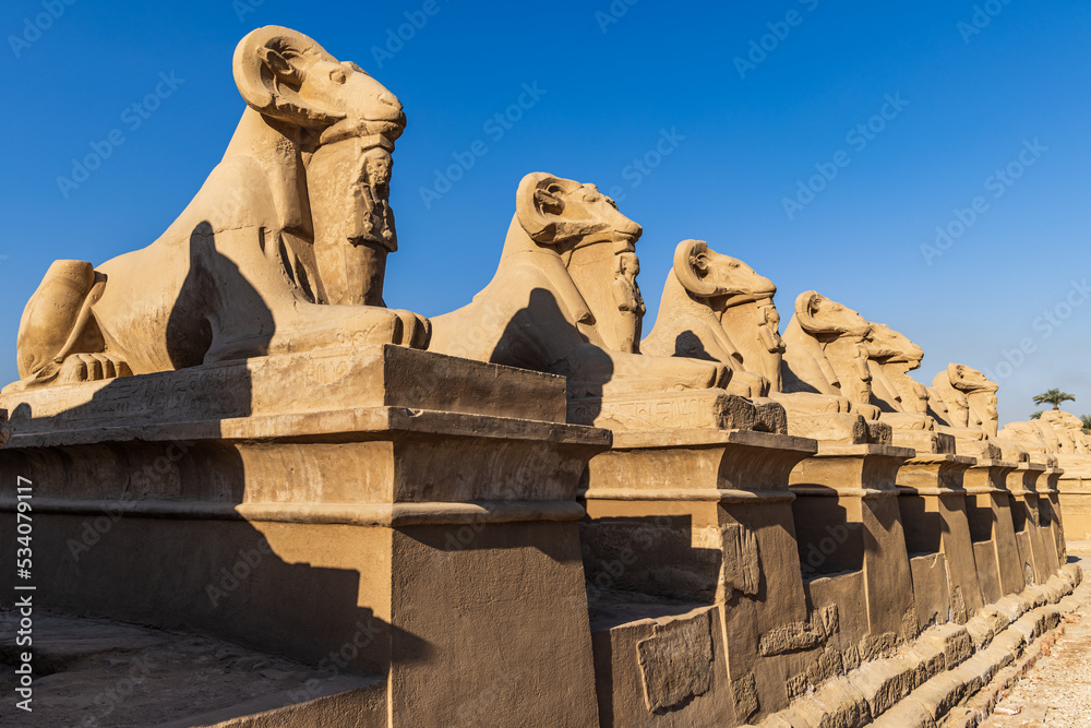 Avenue of the Rams Headed Sphinxes at the Karnak Temple complex in Luxor.
