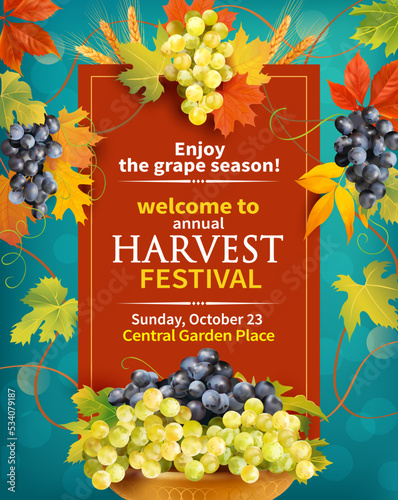 Harvest festival poster design with grapes and grapevine. Invitation for crop fest. Vector illustration.