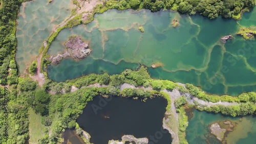 The Frog Hills of Penang Malaysia
