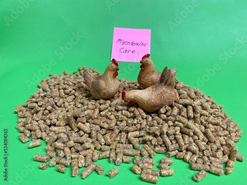 Micotoxins Care for Poultry Feed photo