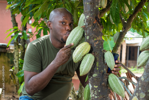 A happy African male farmer, trader, entrepreneur or businessman from Nigeria, kissing a cocoa fruit while holding its tree in a farm © kehinde