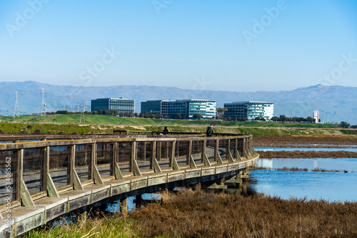 Fototapeta Naklejka Na Ścianę i Meble -  Bayland Park Sunnyvale California