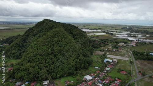 The Paddy Rice Fields of Kedah, Malaysia