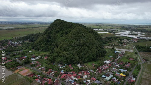 The Paddy Rice Fields of Kedah, Malaysia